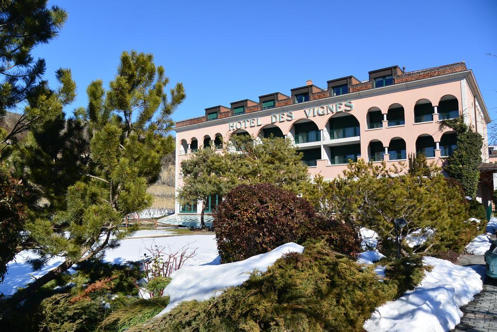 Hotel H\u00F4tel Des Vignes Saint-Léonard Exterior foto